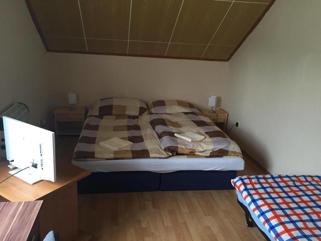 Turisticka Ubytovna Hotel Divín מראה חיצוני תמונה